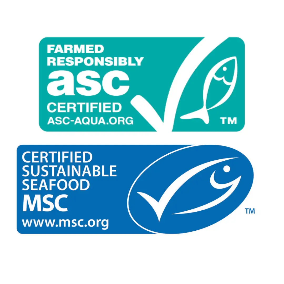 logos asc msc socorex