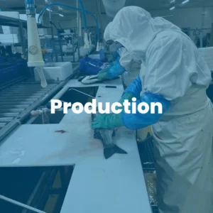 emploi dans la transformation des produits de la mer à Concarneau