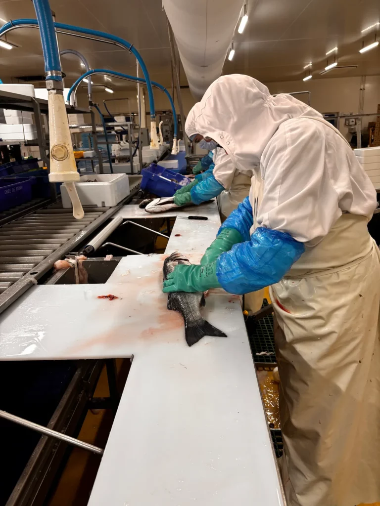 Atelier de mareyage et transformation des produits de la mer