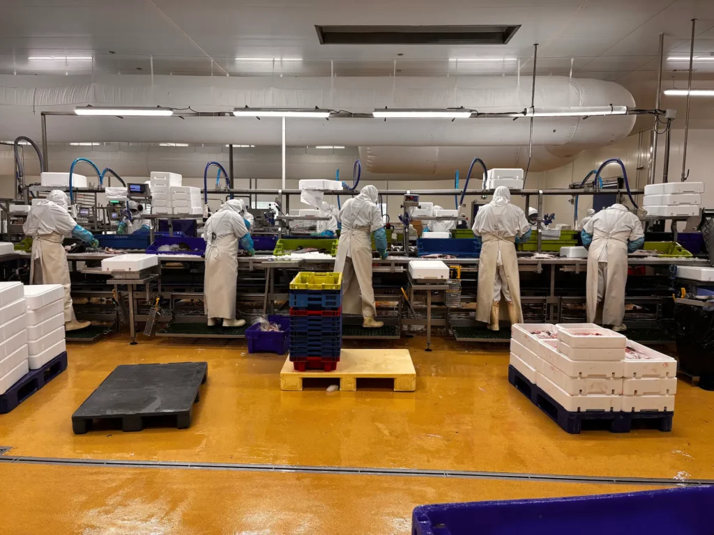 emploi dans la transformation des produits de la mer à Concarneau
