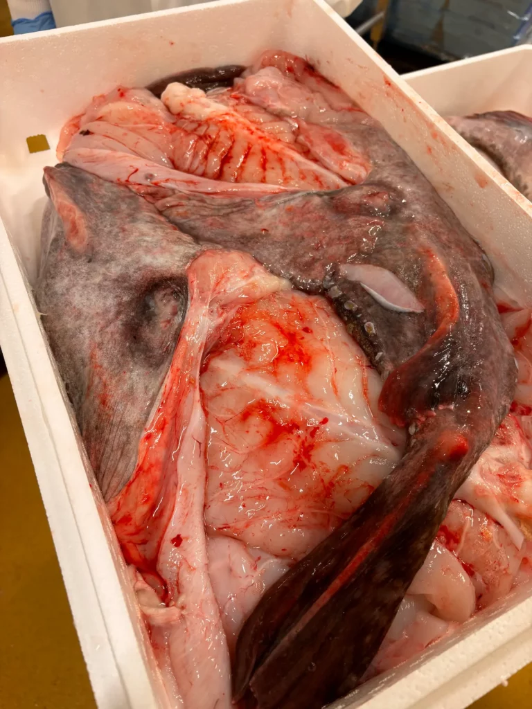 Gestion de la qualité et transformation de poisson