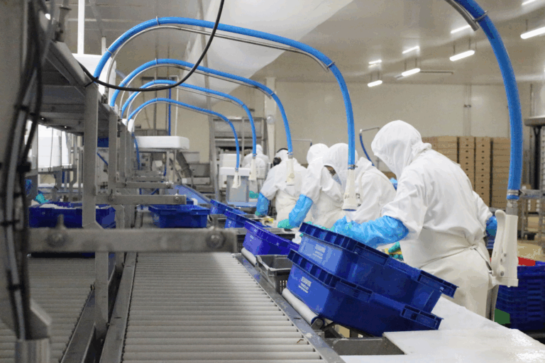 expertise en mareyage et transformation de produits de la mer