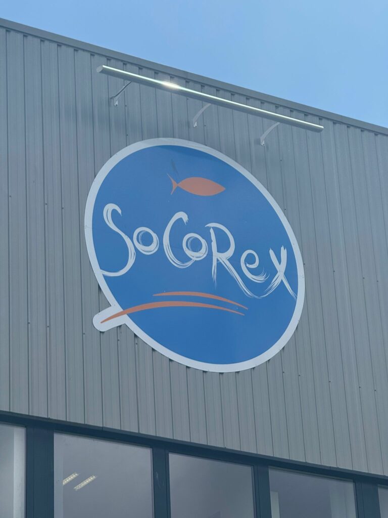 Socorex entreprise de mareyage à Concarneau